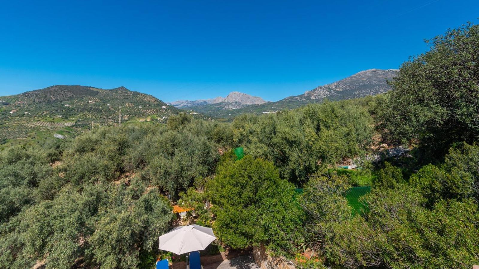 Vila Casa Ana Maria Periana By Ruralidays Exteriér fotografie